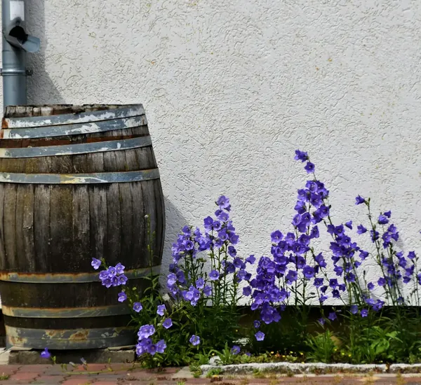 L’eau à la maison