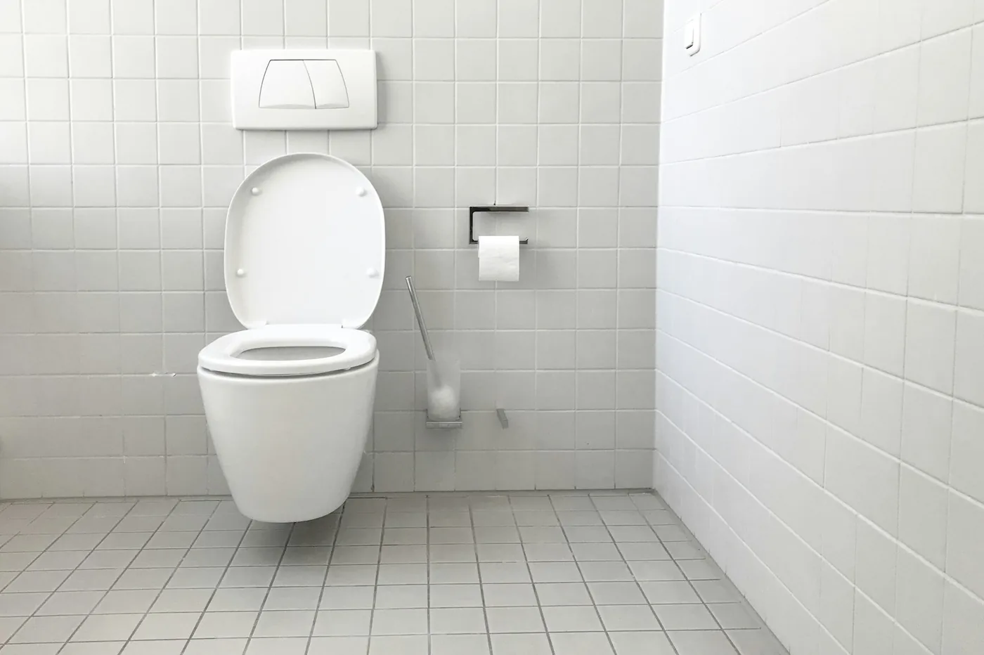 Avis : macérateur compact Sanicompact