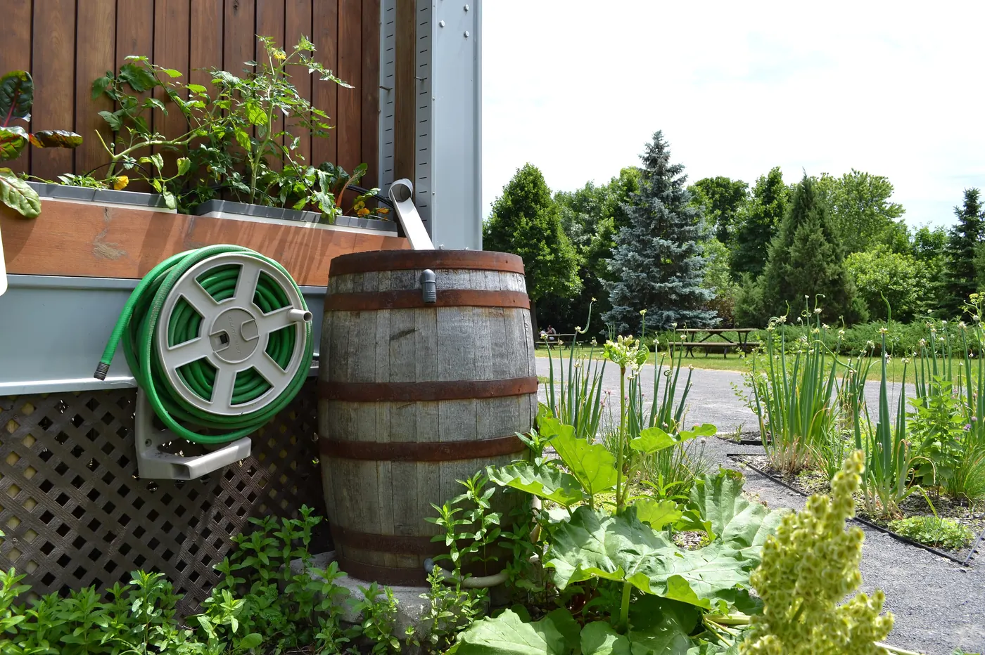 Récupération d&rsquo;eau de pluie pour jardin