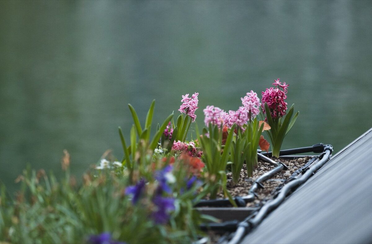 Récupération d'eau de pluie pour jardin
