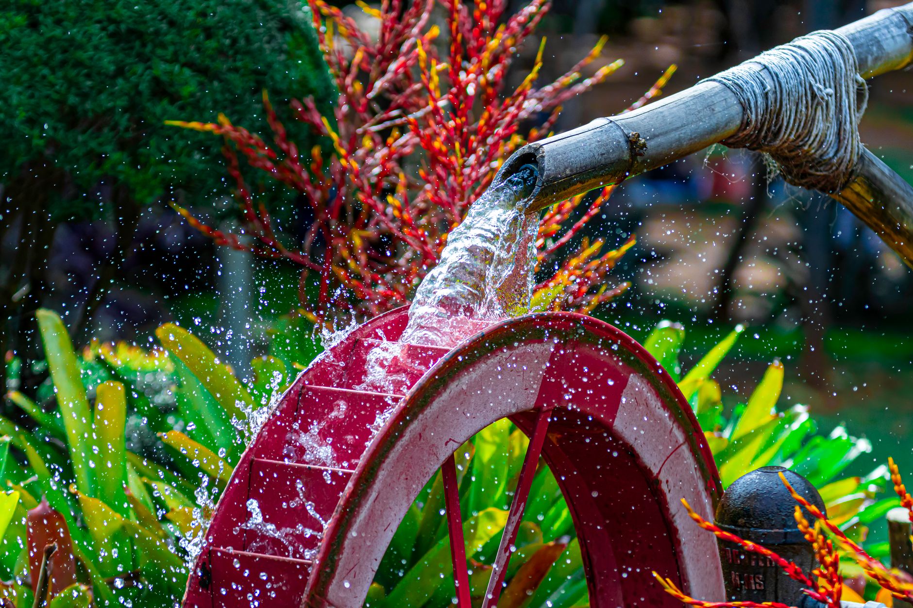 Récupération d'eau de pluie pour jardin