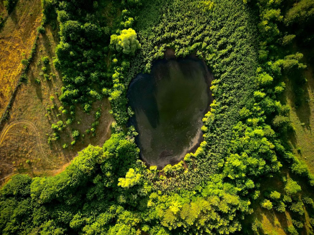 Assainissement naturel : un investissement durable et écologique