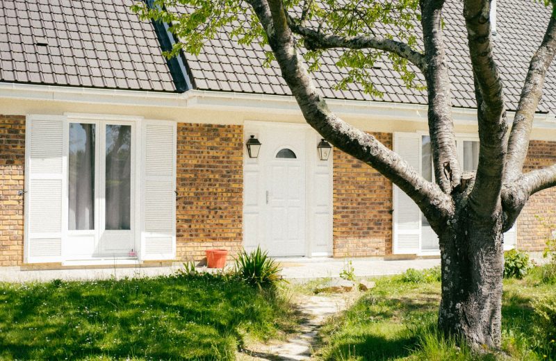 Phytoépuration : l&rsquo;assainissement écologique qui transforme votre jardin